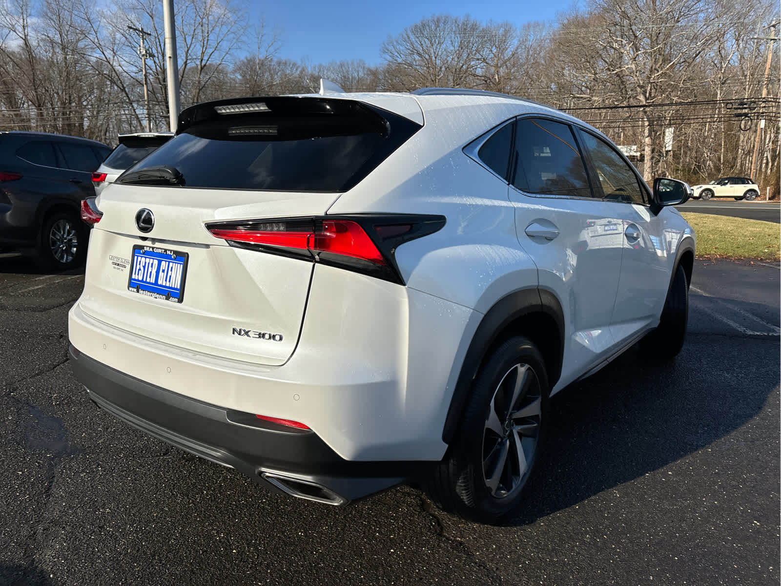 2019 Lexus NX NX 300