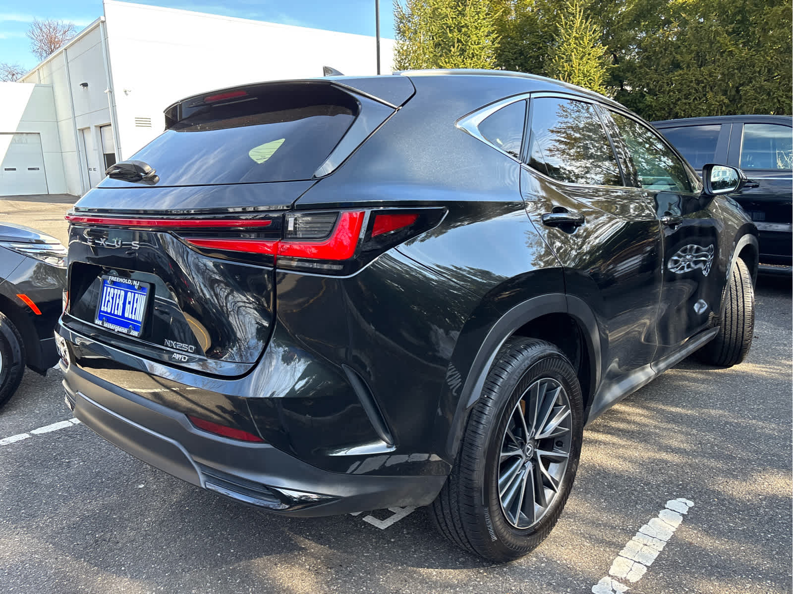2024 Lexus NX NX 250