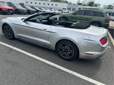 2019 Ford Mustang EcoBoost Premium
