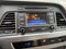 2015 Hyundai SONATA 2.4L Sport