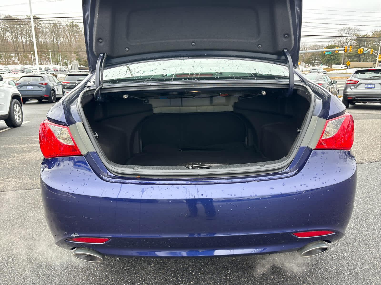 2013 Hyundai SONATA SE