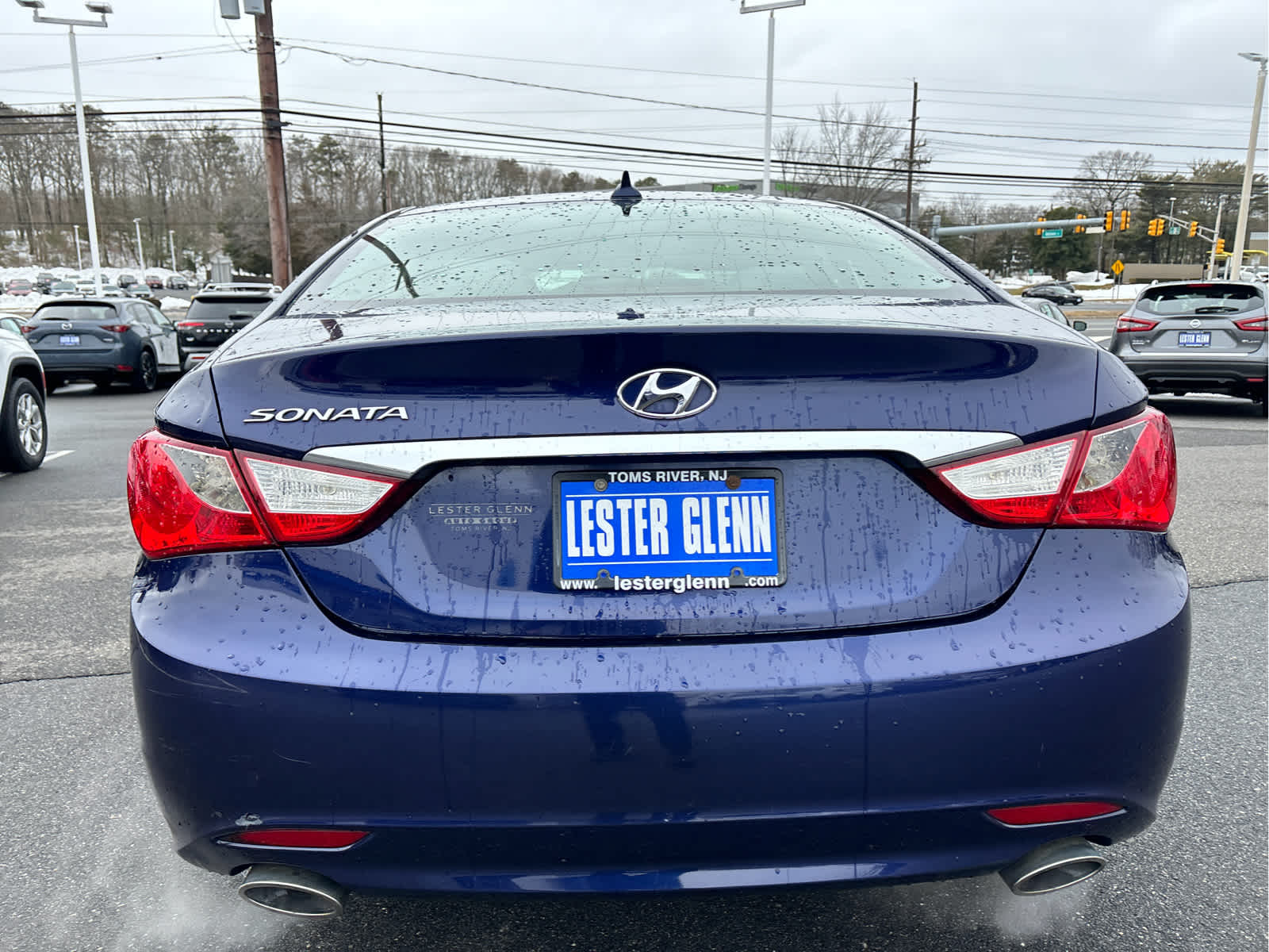 2013 Hyundai SONATA SE