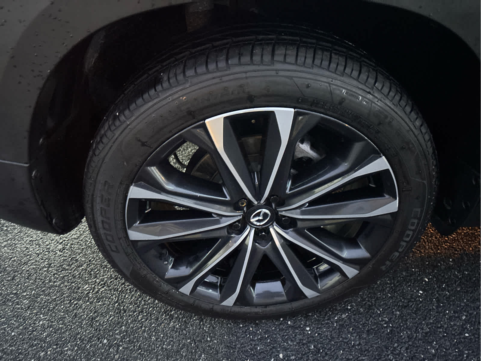 2023 Mazda Mazda CX-50 2.5 Turbo Premium Plus Package