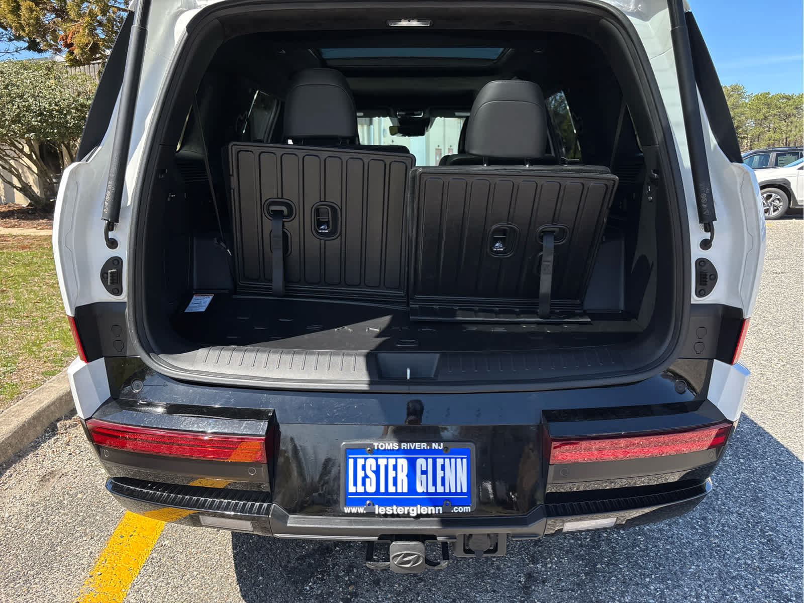 2025 Hyundai SANTA FE HYBRID Calligraphy