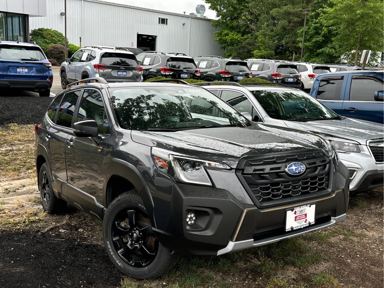 2023 Subaru Forester Wilderness