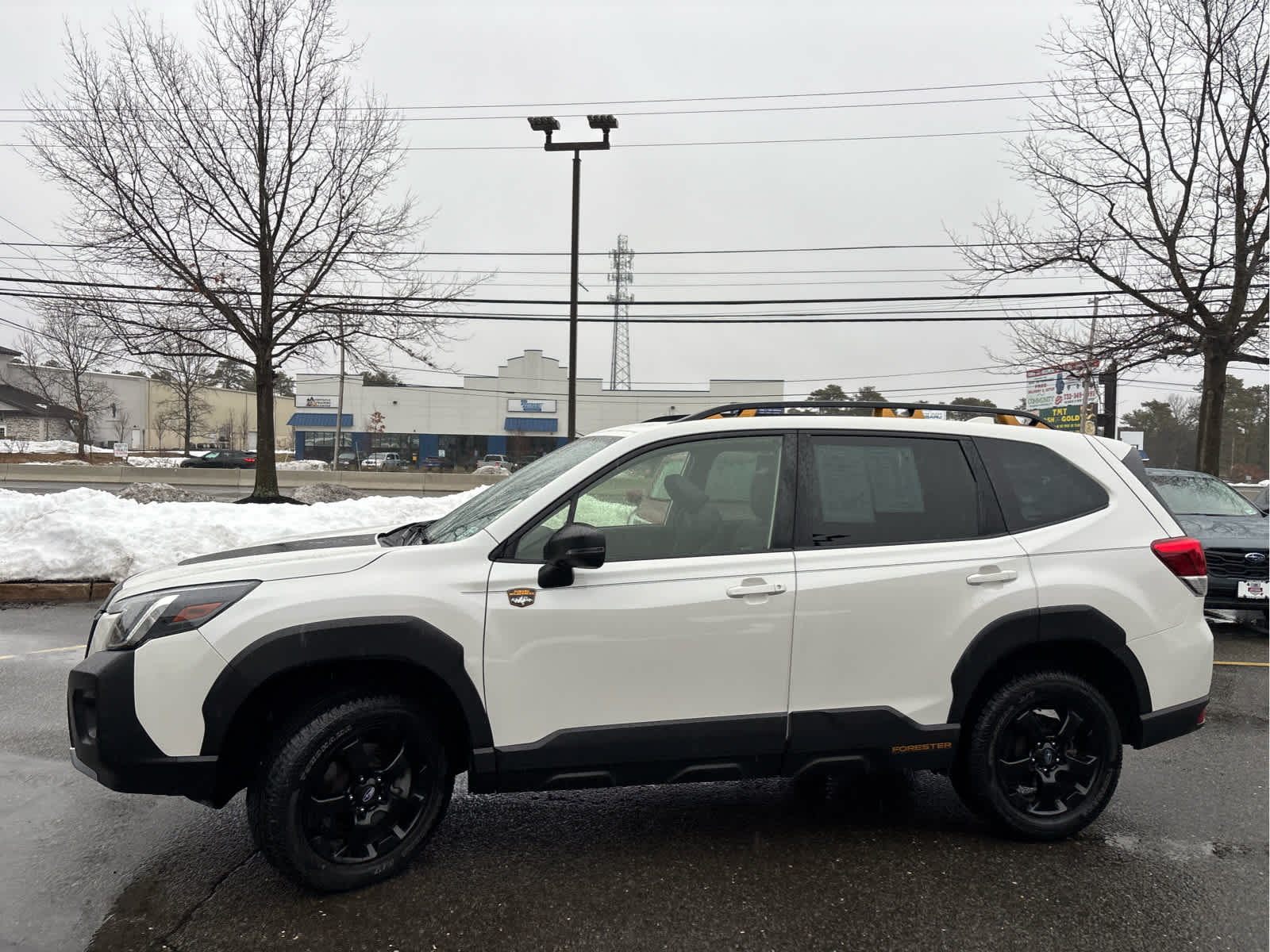 2023 Subaru Forester Wilderness