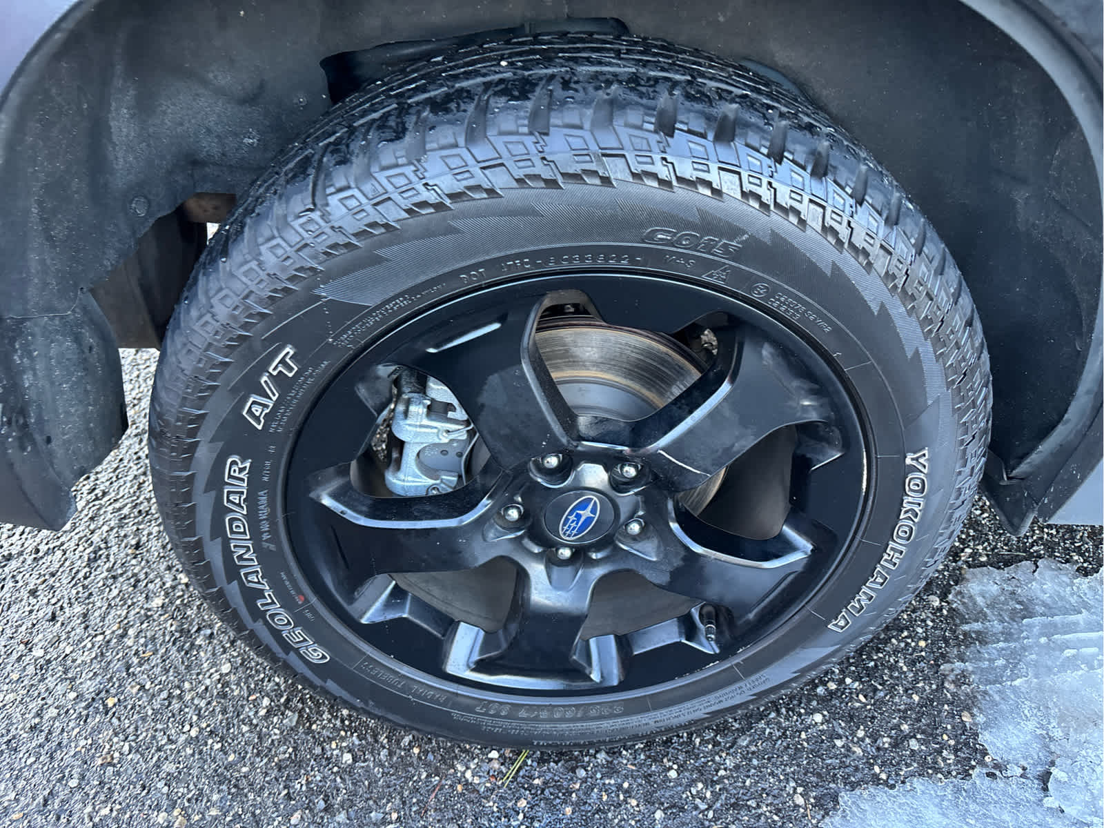 2023 Subaru Forester Wilderness