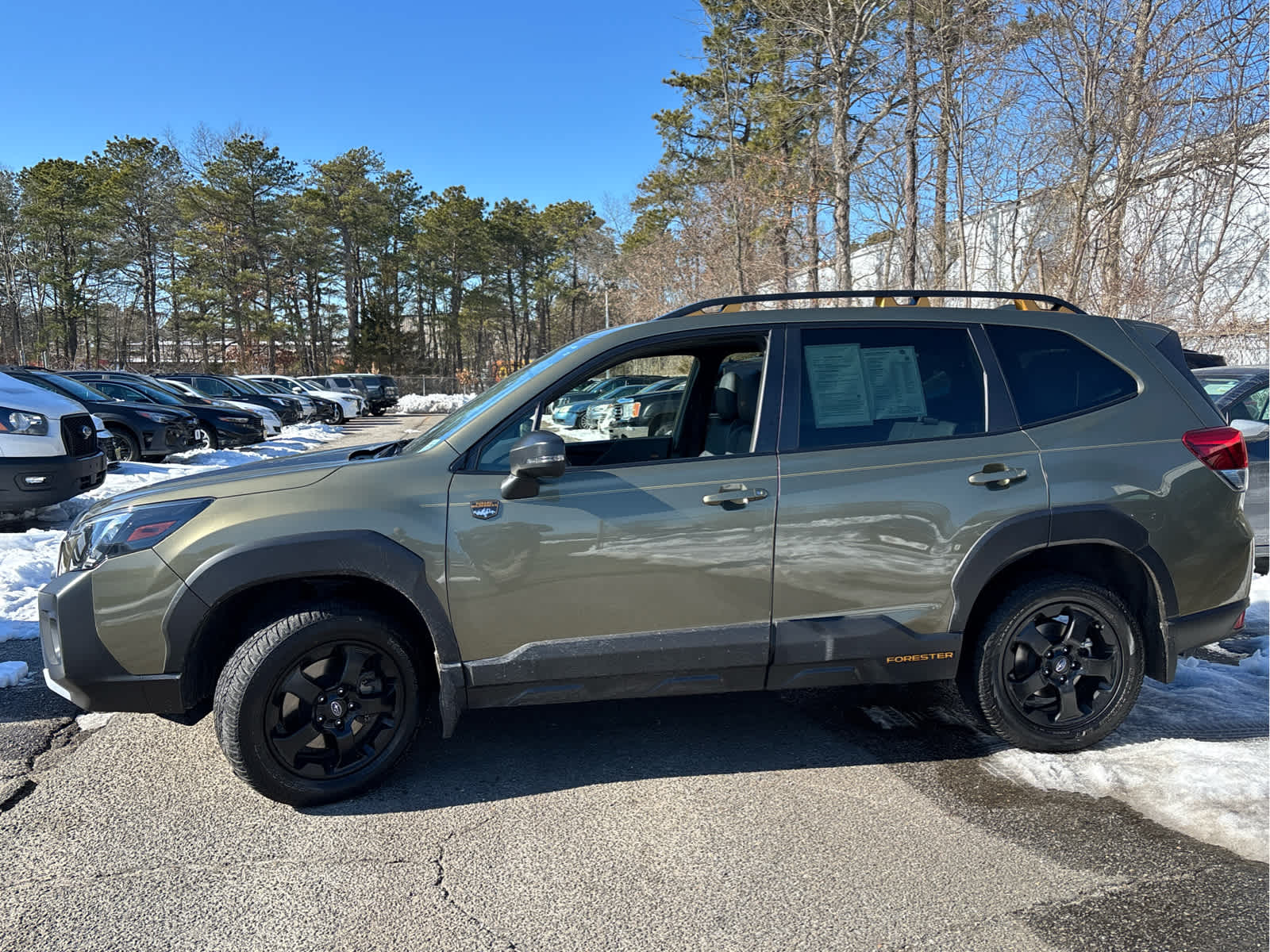 2023 Subaru Forester Wilderness