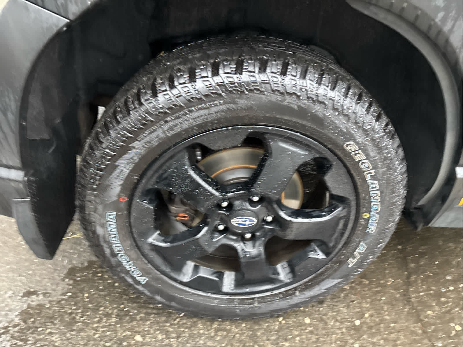 2023 Subaru Forester Wilderness