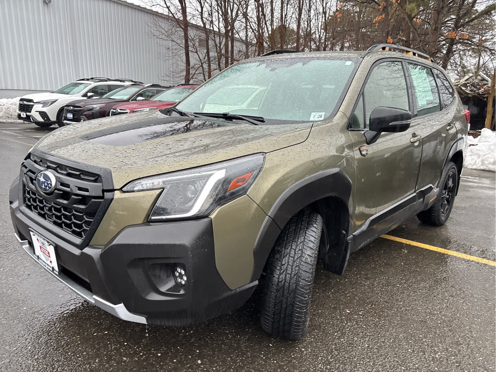 2023 Subaru Forester Wilderness