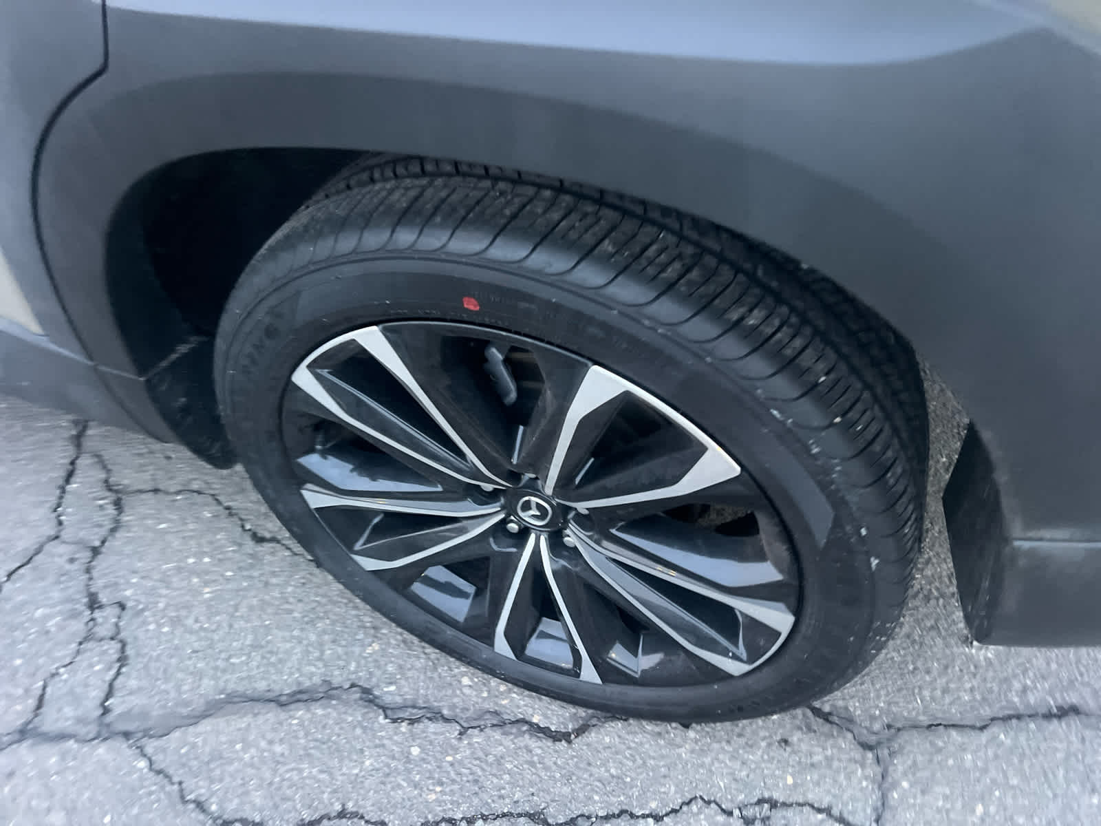 2025 Mazda Mazda CX-50 2.5 Turbo Premium Plus Package