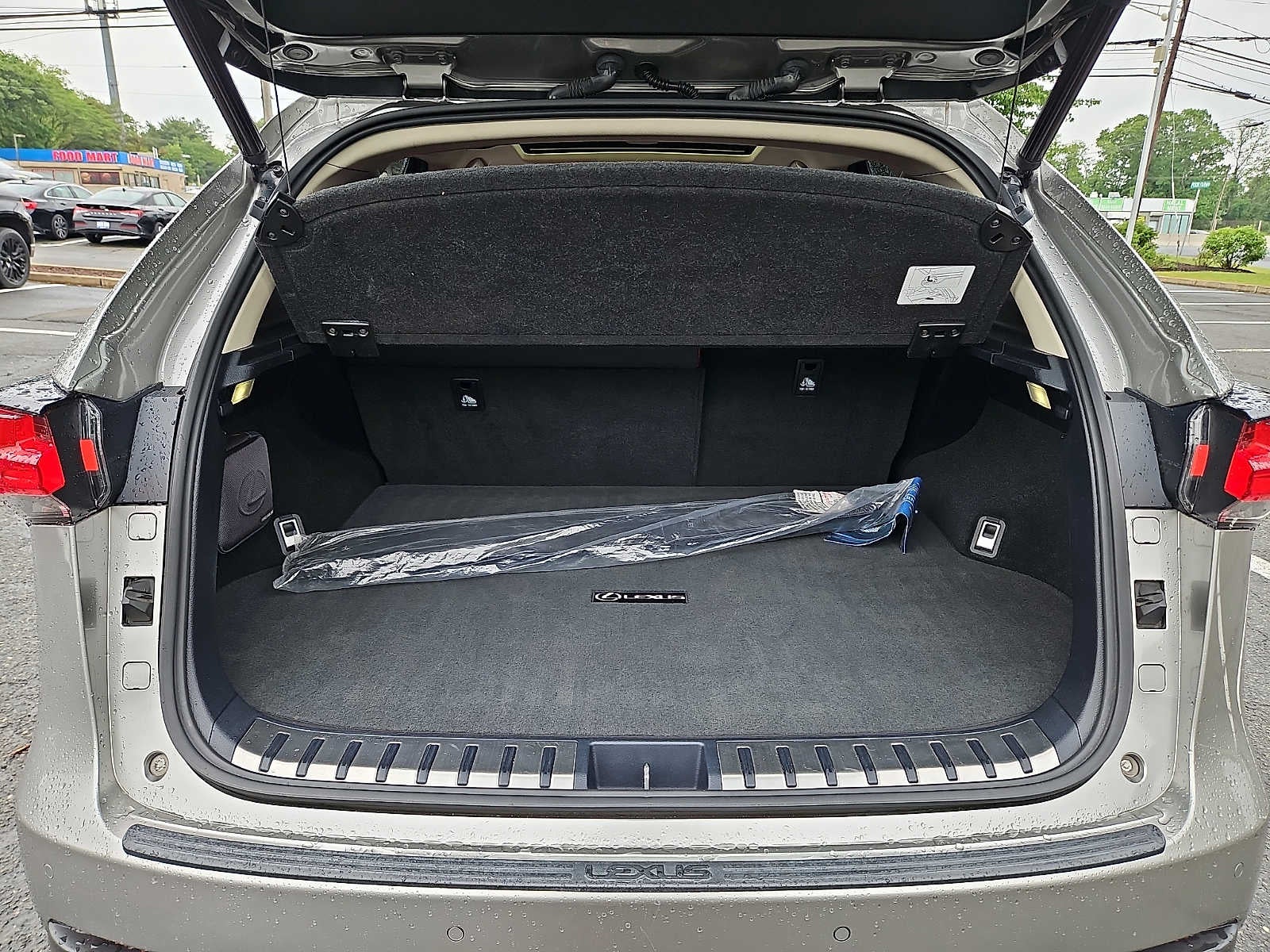 2020 Lexus NX 300 NX 300