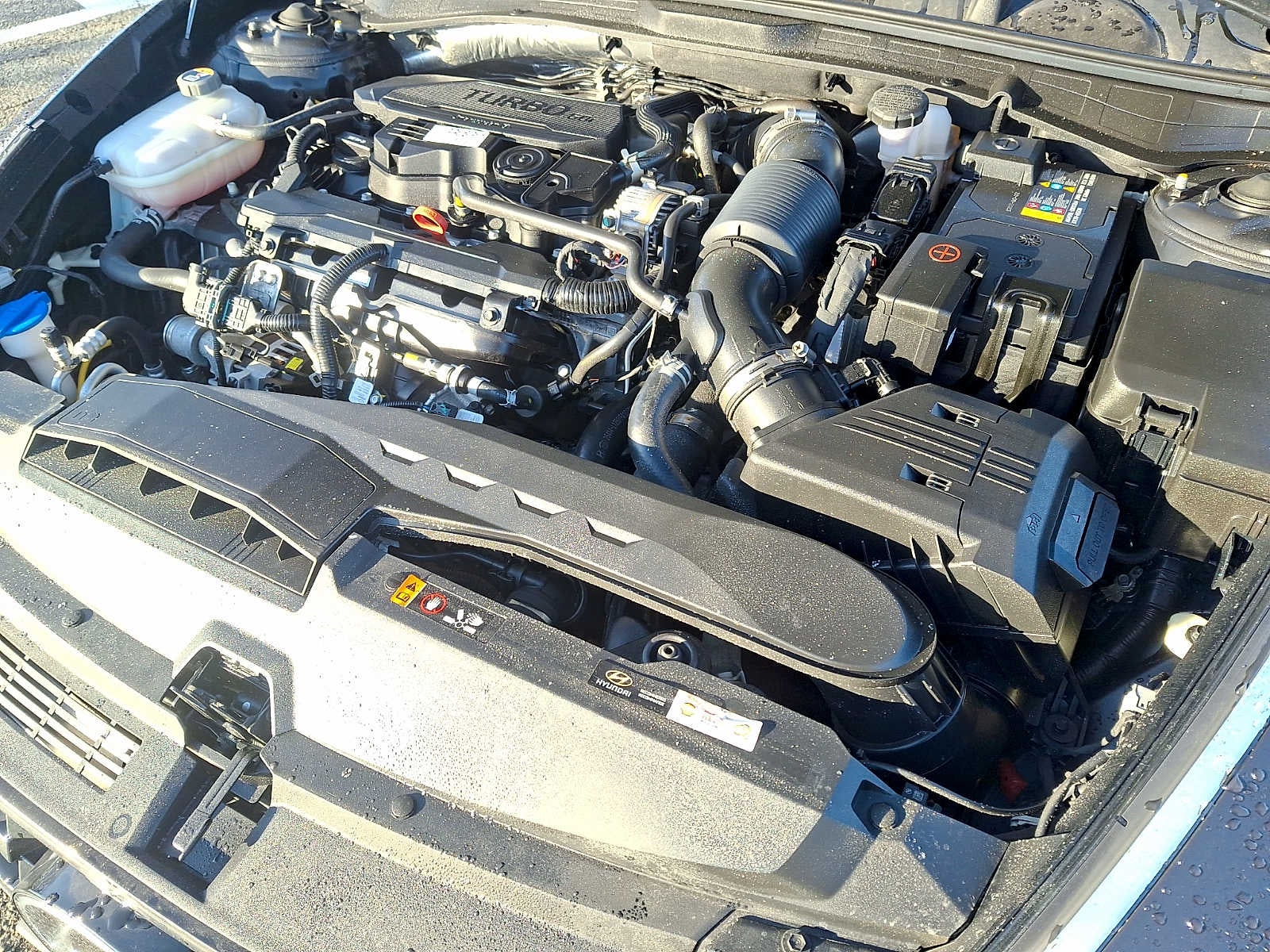 2023 Hyundai SONATA Limited