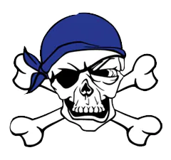 point_challenger_flag_football logo